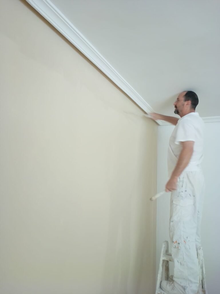 pintores de casas en colmenar viejo